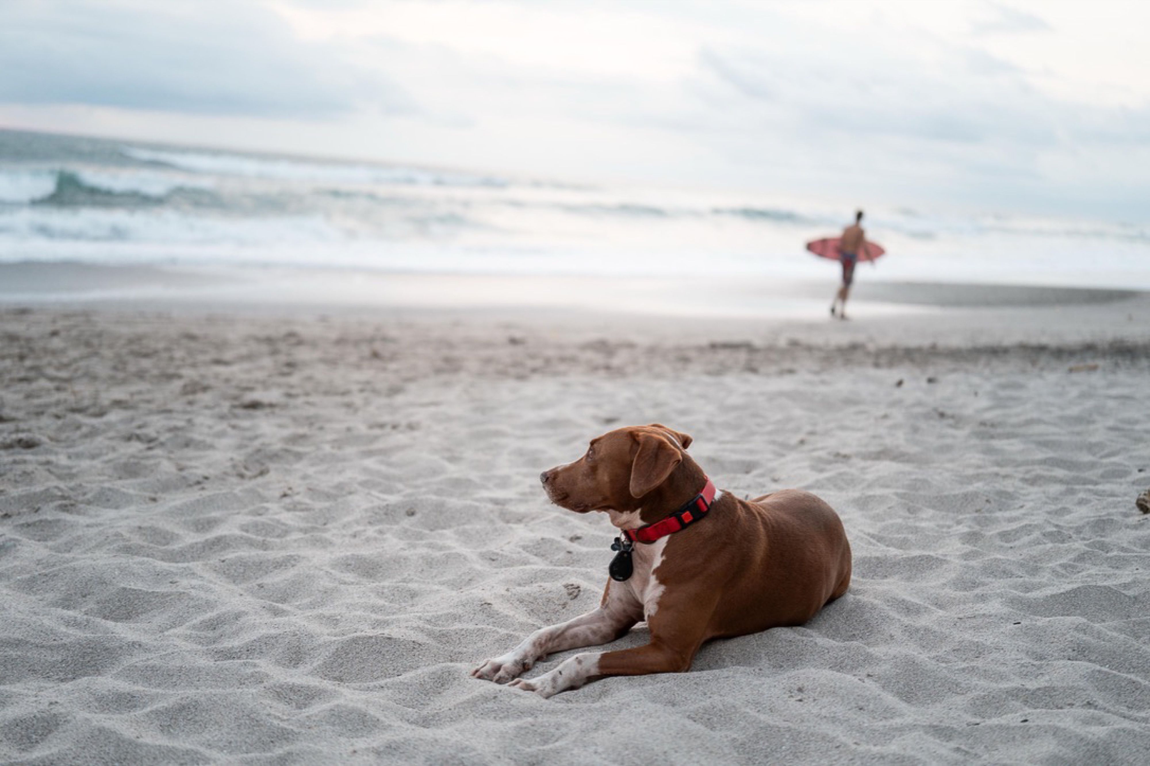 Costa Rica — 19