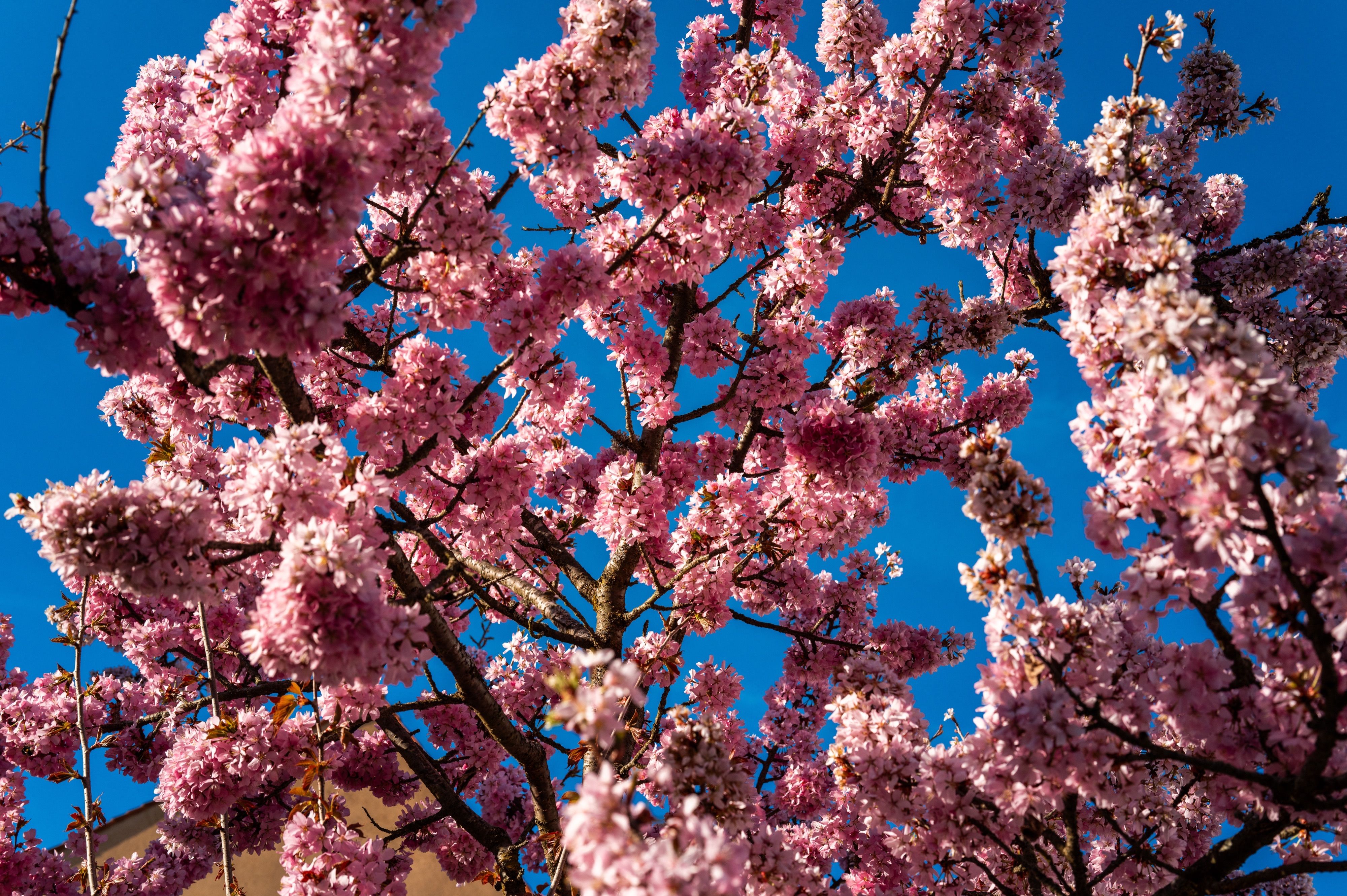 Sulzbach · Spring 2026