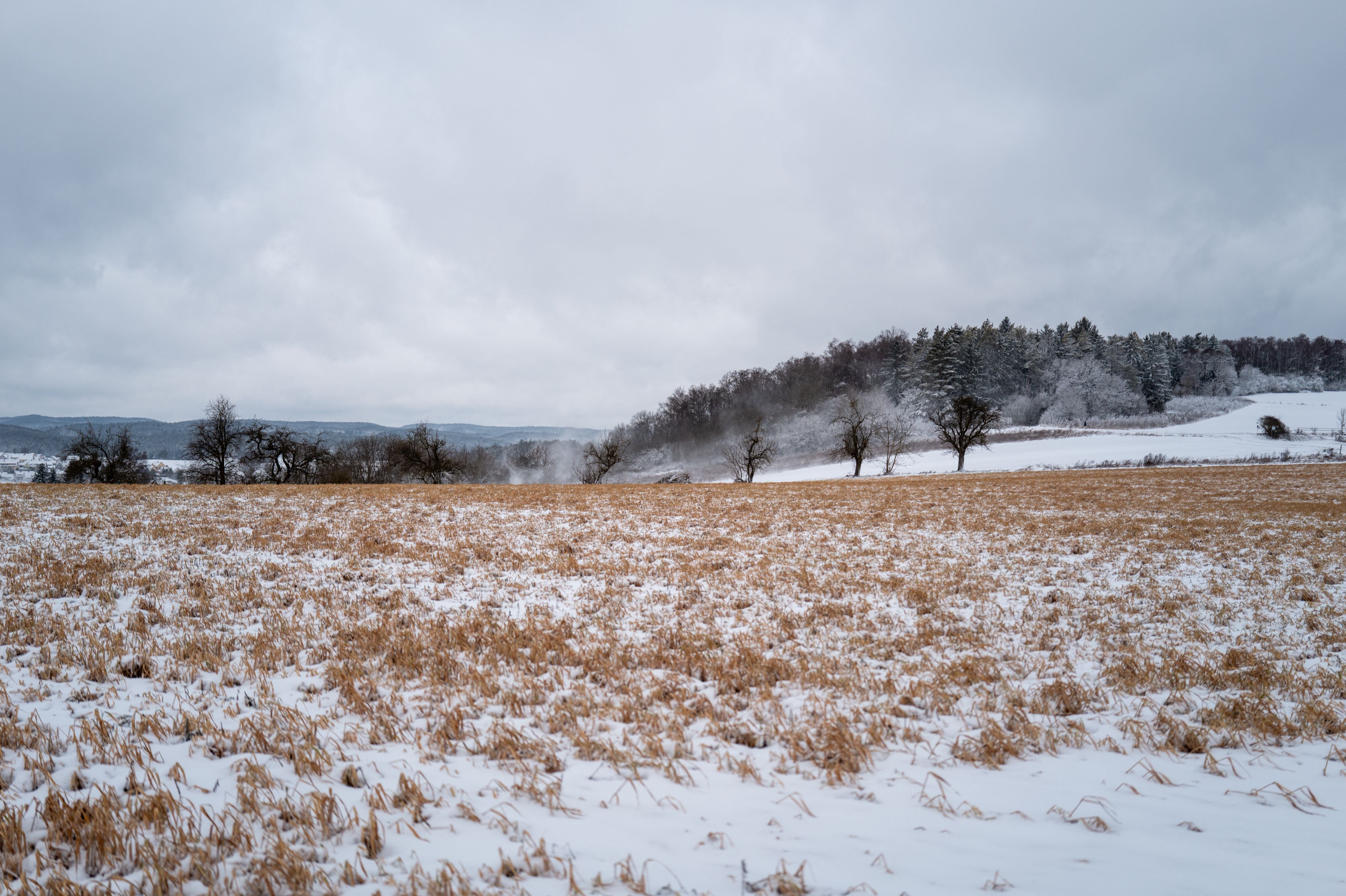 Sulzbach-Rosenberg — 4